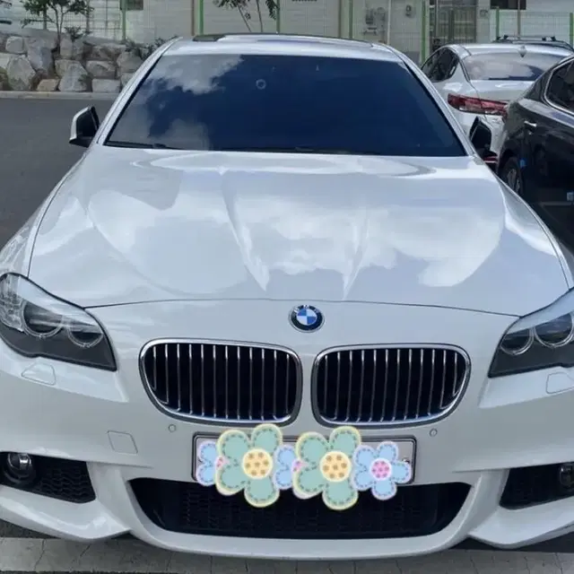 BMW F10 5시리즈 본넷(알파인화이트)