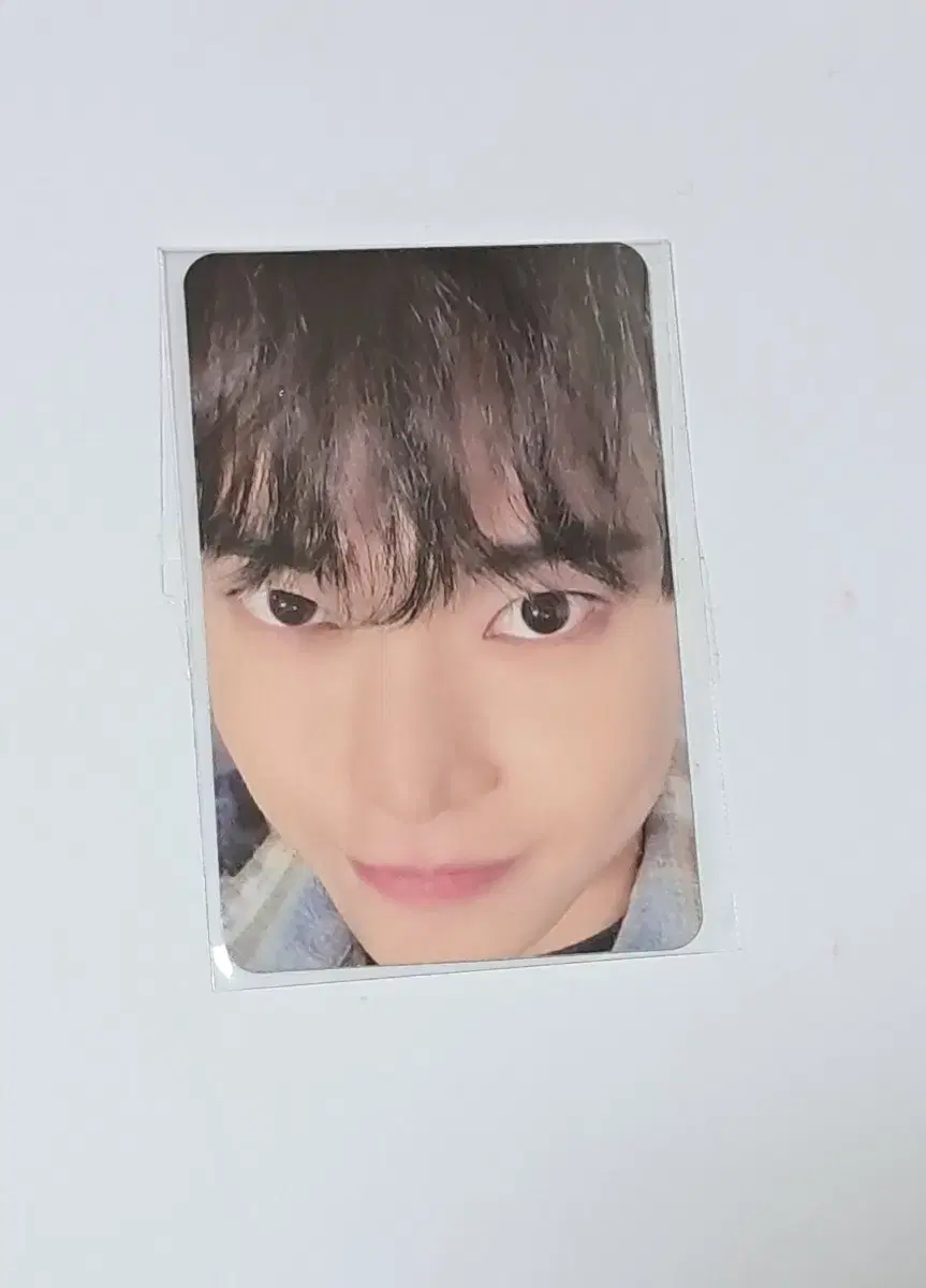 NCT 127 Factcheck doyoung Shems Pansa unreleased photocard unsealed