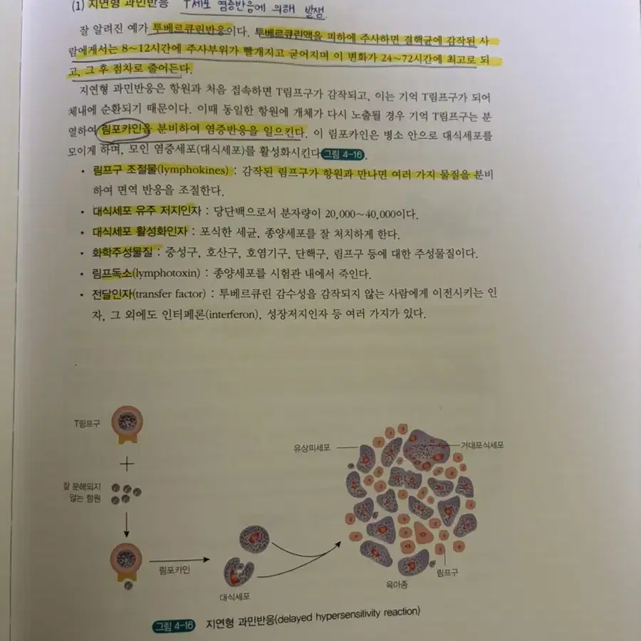 수문사 / 새로 쓴 병리학