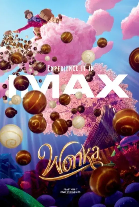 Wonka Imax poster