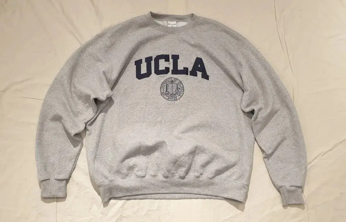 XL-2XL>Champion Sweatshirt