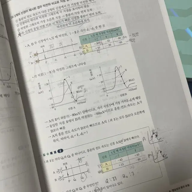 2024 백호 생명과학1 개념완성