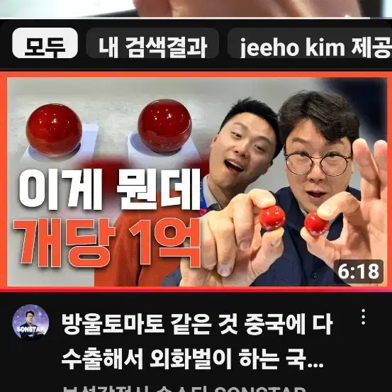 14k일본산 천연 아카혈적 산호반지