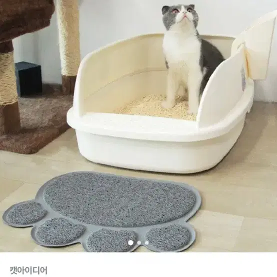 고양이 화장실 L 크림 팝니다!