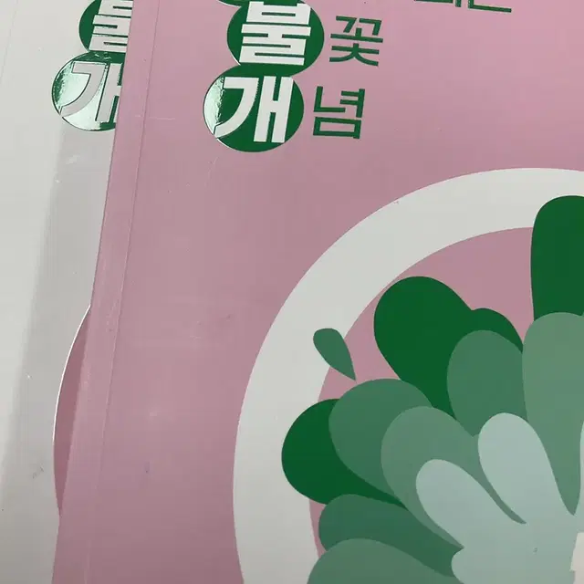 무조건 되는 불꽃 개념 수1