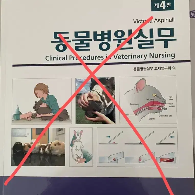 동물보건사 국가고시 공부 교재(합격)