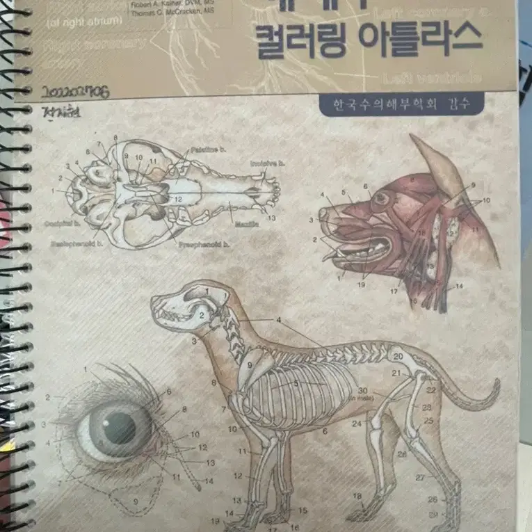 동물보건사 국가고시 공부 교재(합격)