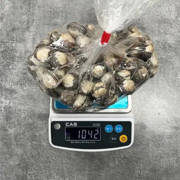 벌교 새꼬막 1kg