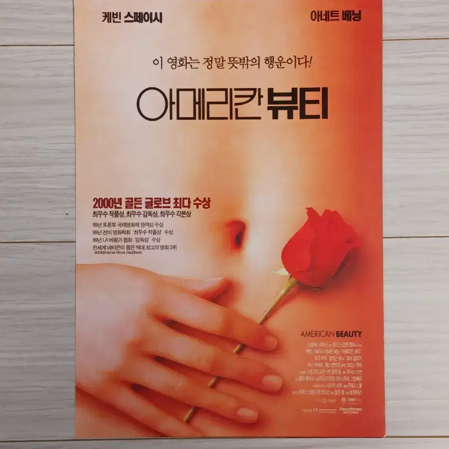 아메리칸뷰티(2000년)전단지(2단)