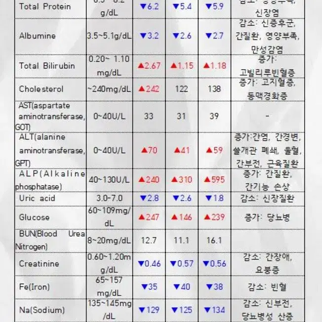 간호pdf 성인간호학 (상) 케이스 스터디