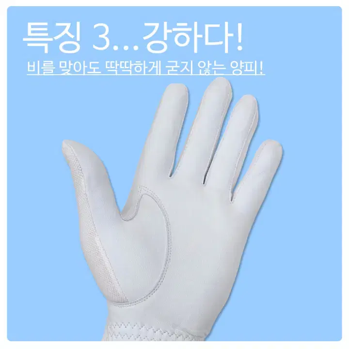 PRGR DryHand드라이핸드 손등매쉬 골프양피장갑