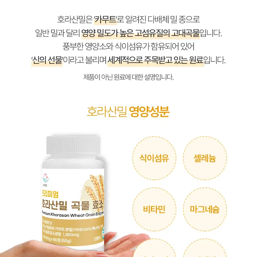 카무트효소 호라산밀 곡물효소 카무트효소정