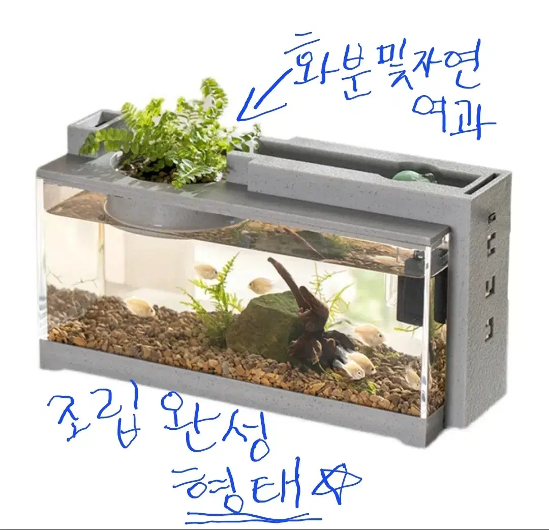 화분 가능한 어항+여과기+화분 바닥재(어항 바닥재 없음)