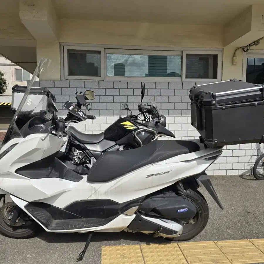 PCX 125 22년식 5900KM