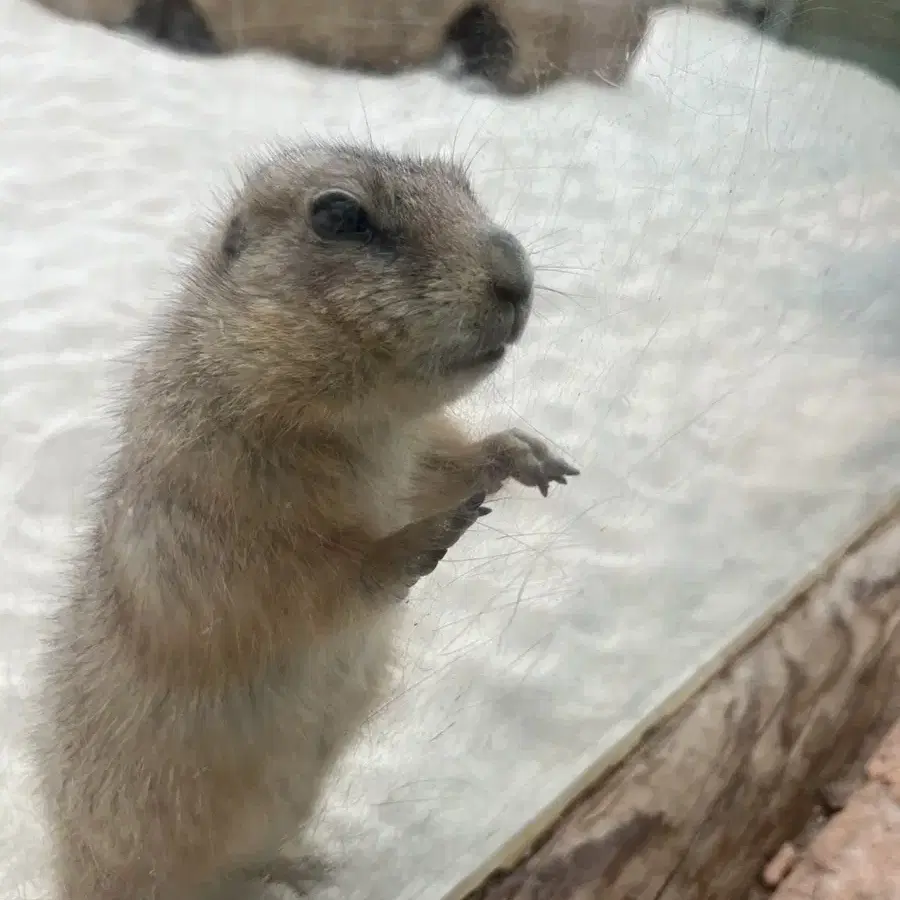 닌텐도 패밀리 플랜 원합니다! 연락주세요!