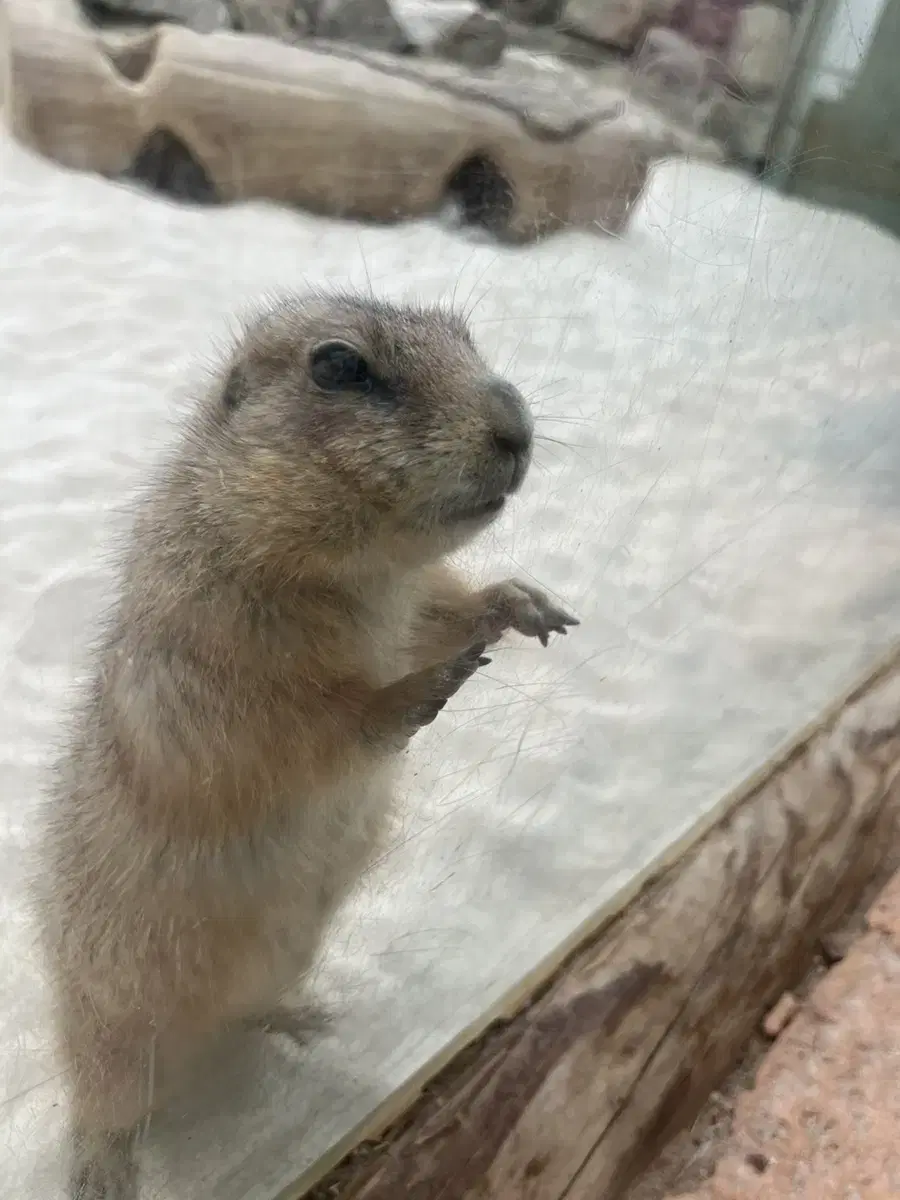 닌텐도 패밀리 플랜 원합니다! 연락주세요!