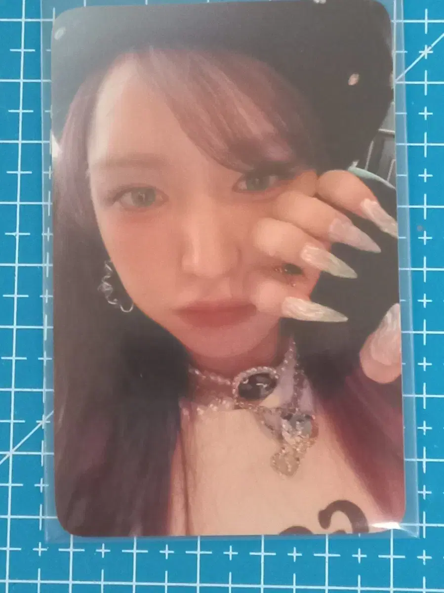 Wendy Reeve Festival Bee's Day ktwon4u photocard