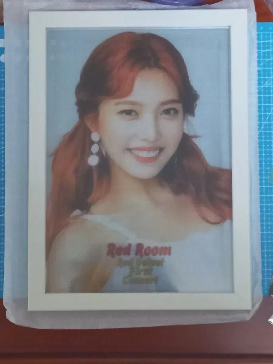 Joy Red Room Translucent Picture Frame