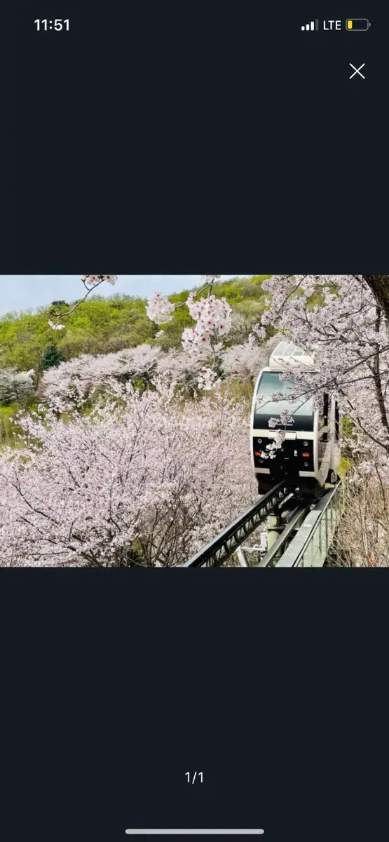 화담숲 4월 6일 (토) 오후 16시 00분 입장권 2장 팝니다