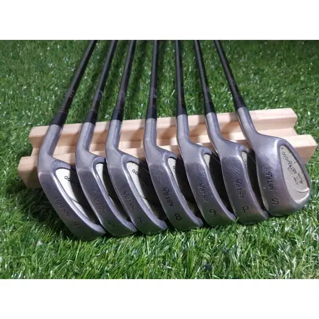 Women's ASTRA-1000 Iron Set 5~9.P.S Graphite L