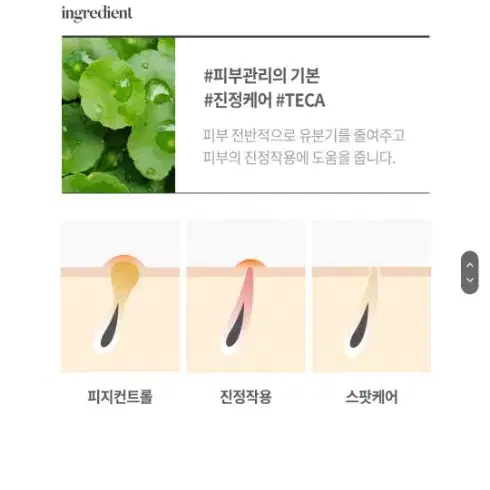 레티놀보다 11배 강력한 레티날) 시모먼트 퓨어 레티날 콜라겐 크림 20