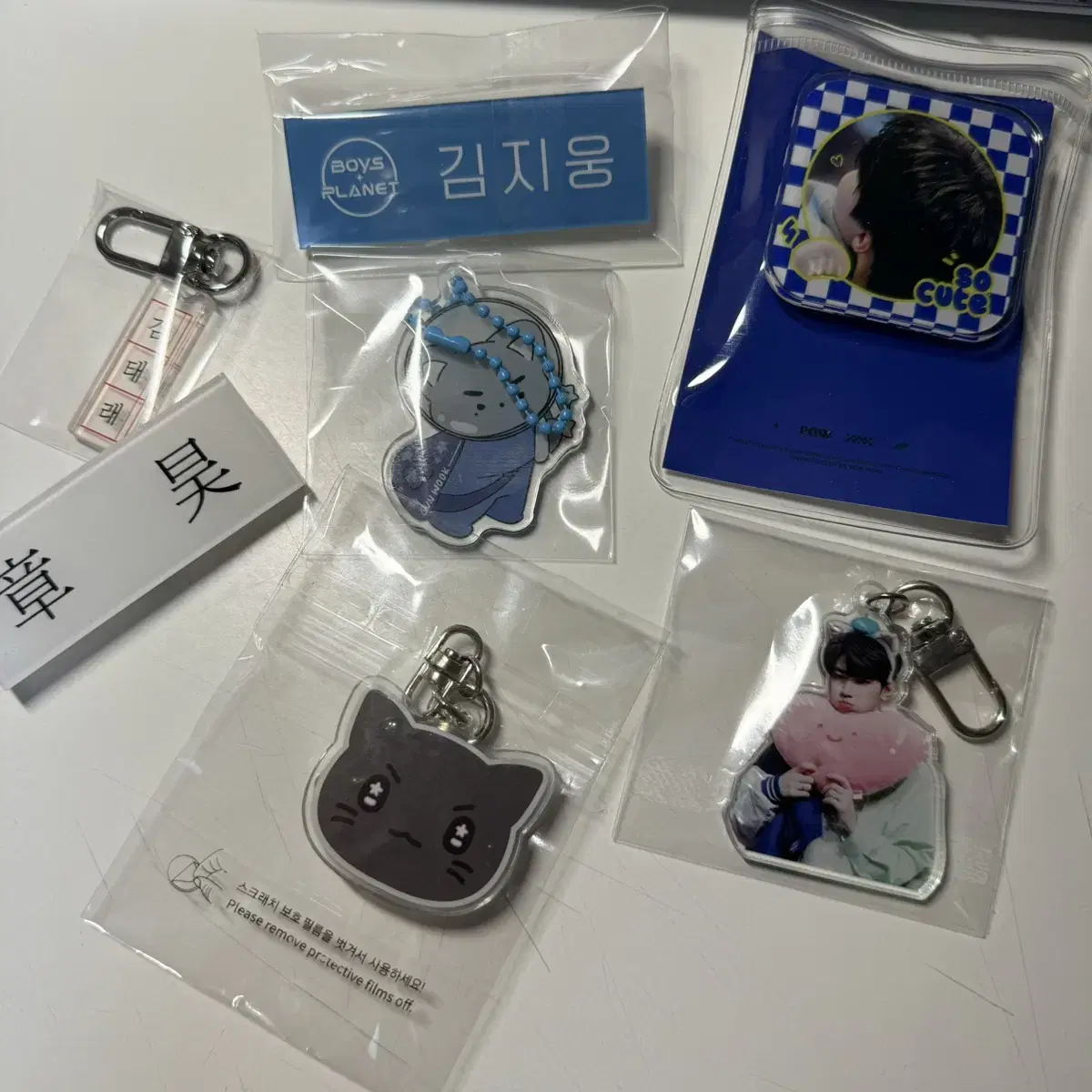 ZB1 zerobaseone keyring Name Badge GripTalk wts