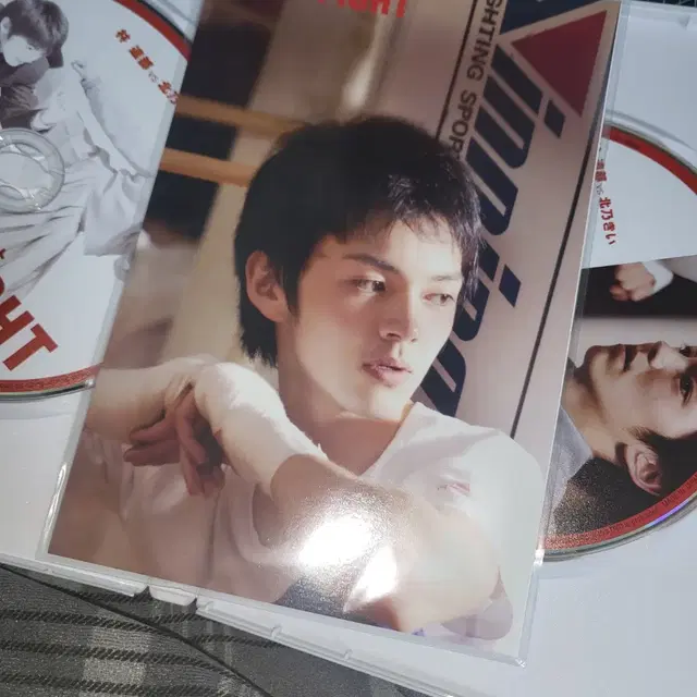 러브 파이트 DVD CD