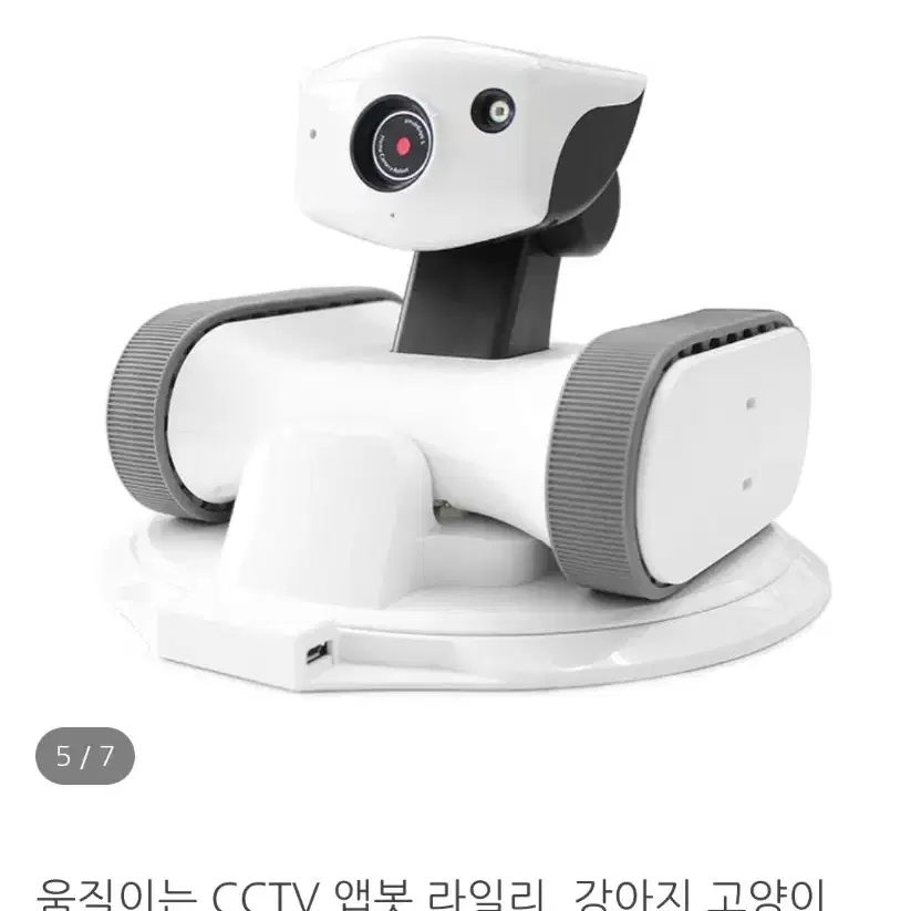 강아지 앱 봅 라일리 로봇cctv