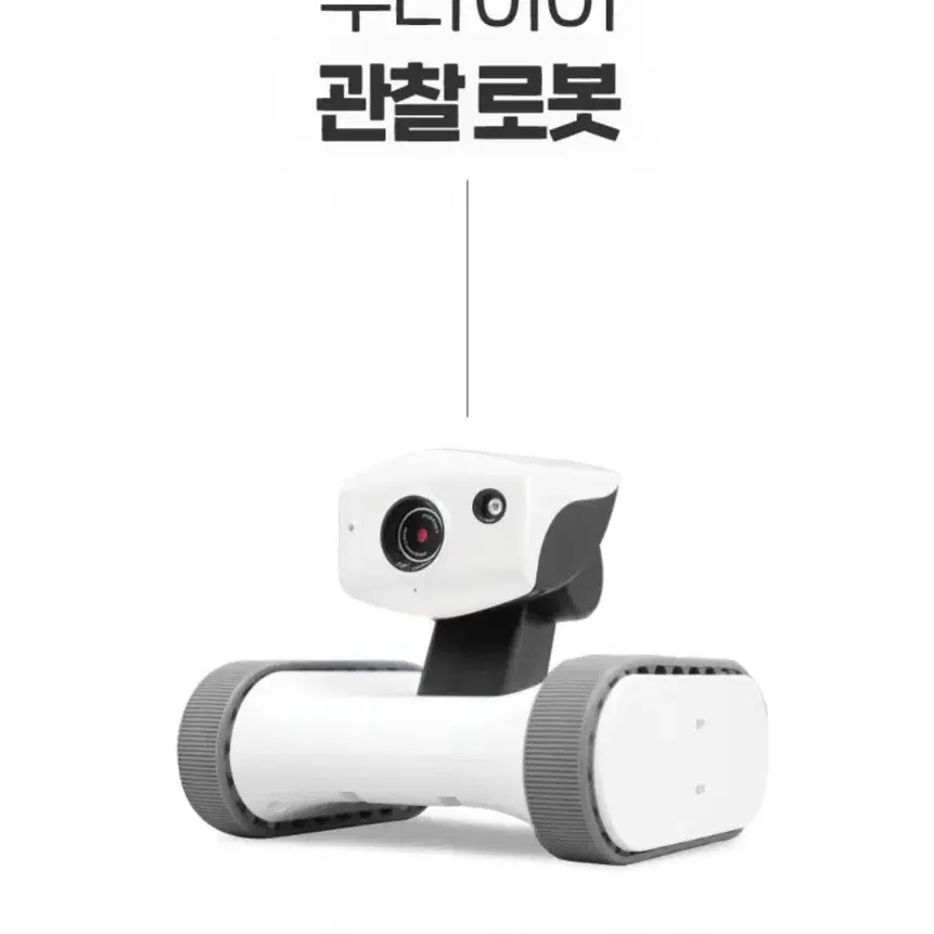 강아지 앱 봅 라일리 로봇cctv