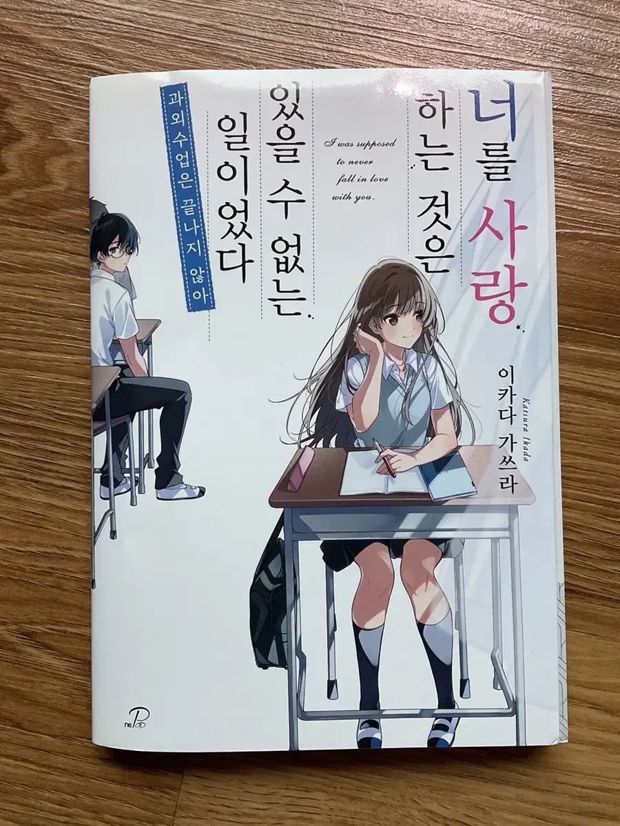 너를 사랑하는 것은 있을 수 없는 일이었다