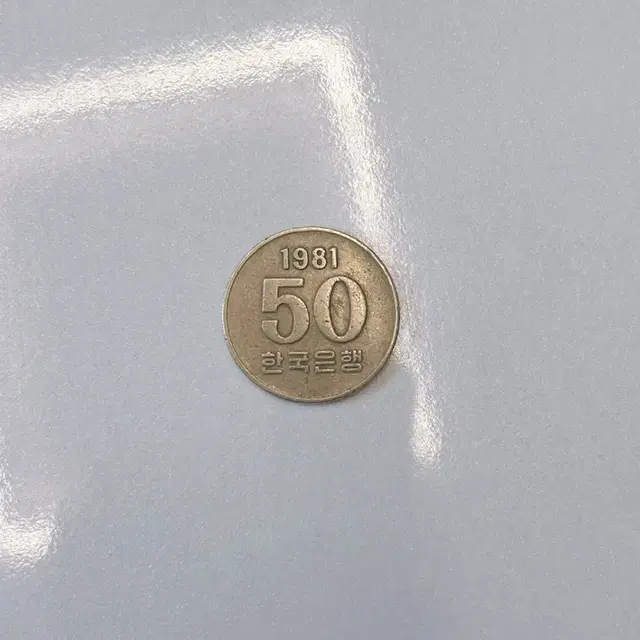 1981년 50원 희귀동전