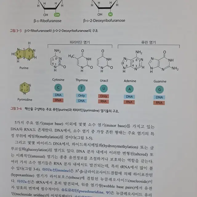 미생물학 대학교재