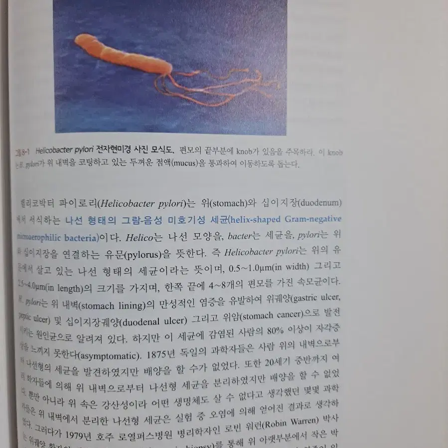 미생물학 대학교재