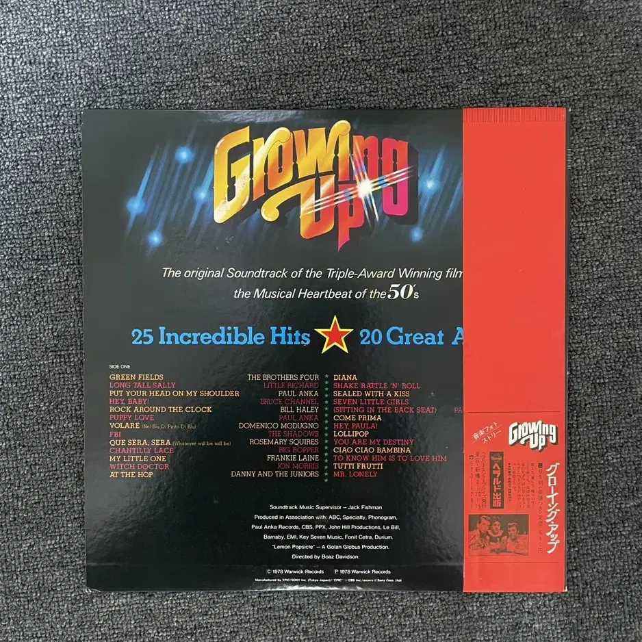 영화 Growing Up O.S.T 레코드(LP) 팝니다.