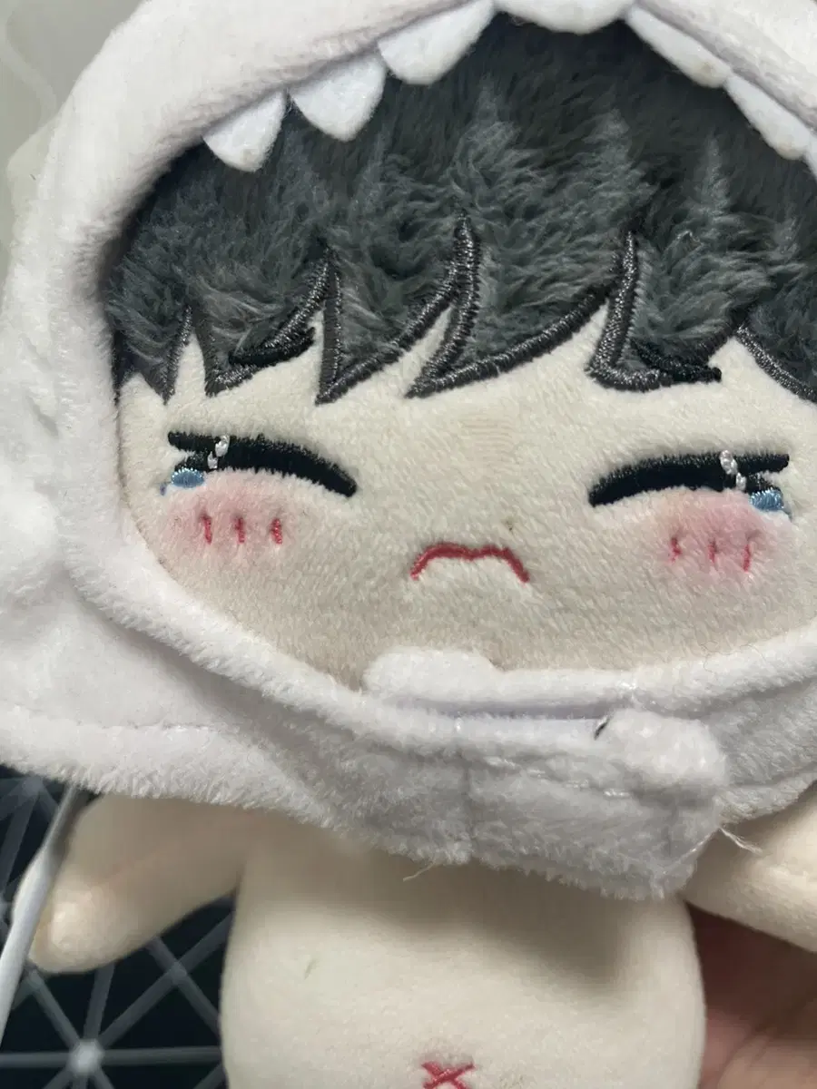 Seventeen hoshi Tear Dolls