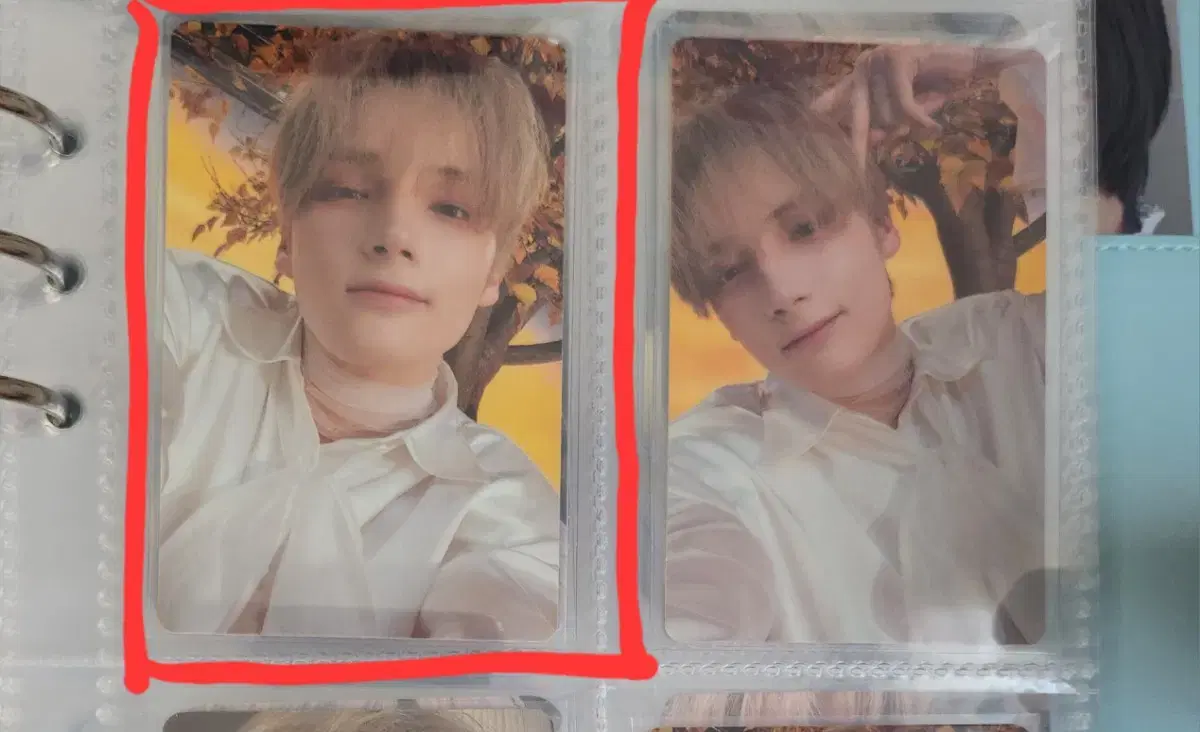 TXT Light Alpo Hunting Photocard