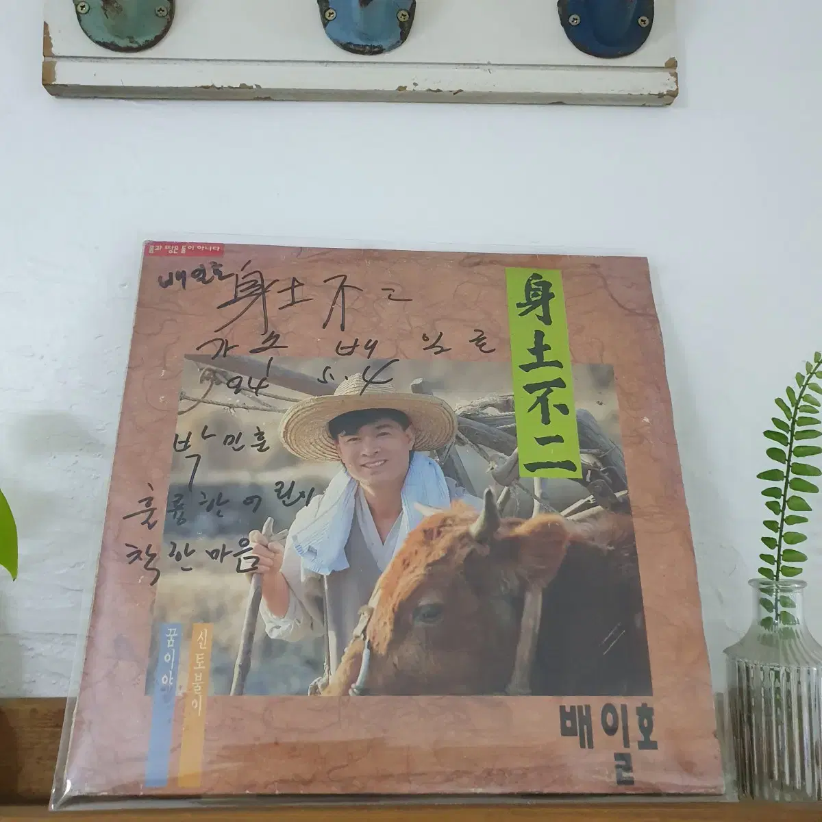 친필싸인반    배일호 LP  1993   신토불이