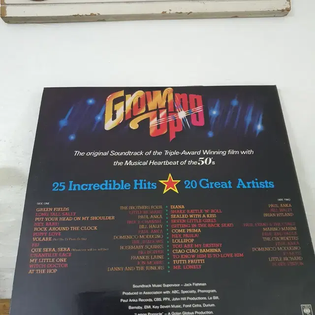 영화 GROWING UP  OST  LP  1983