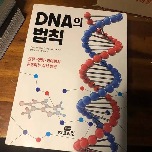 Dna의 법칙