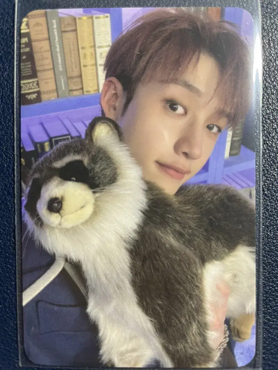 Straykids bang chan fanmeeting Stayzone photocard WTS