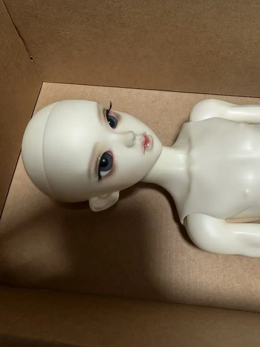 (Bulk) Sphere Articulated Doll Pipos Lucas sell +Included/CertificateX