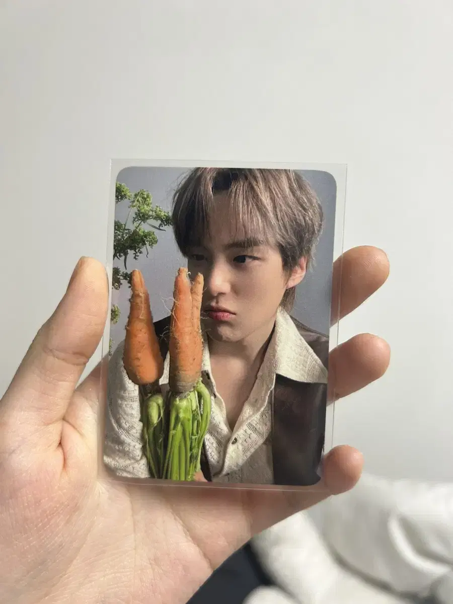 Minhyuk Flown Carrot Photocard