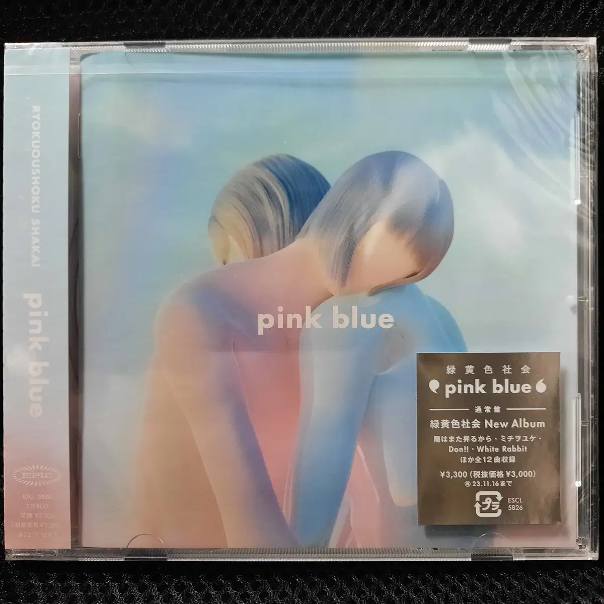 녹황색사회 pink blue CD 미개봉 신품