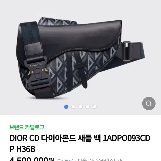 디올 남성 다이아몬드 새들 크로스백