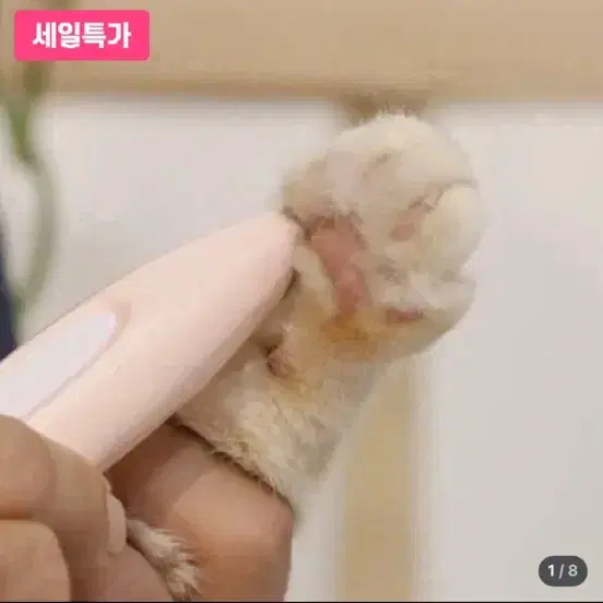 고양이 용품