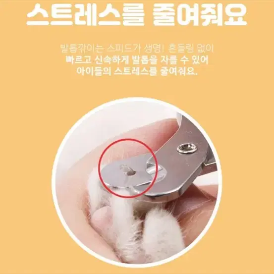 고양이 용품