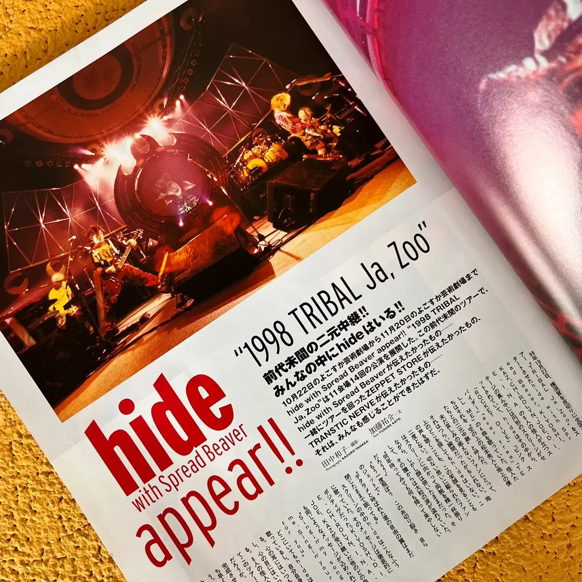 히데 hide 화보집 LEMONed FILE UV Special