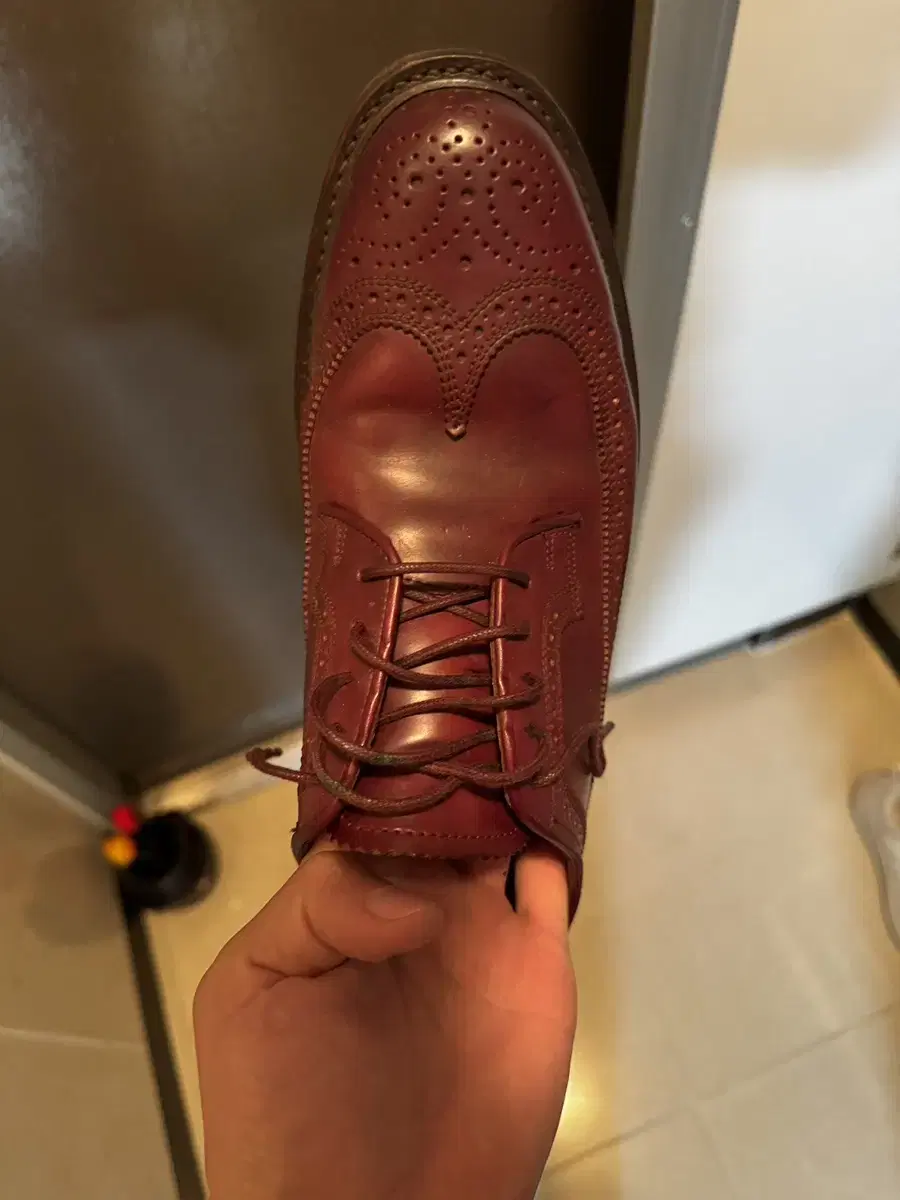 Genuine horween cordovan