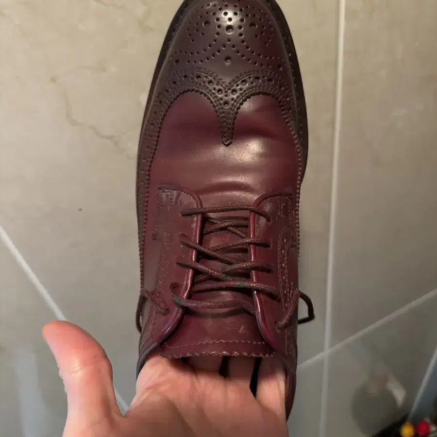 Genuine horween cordovan