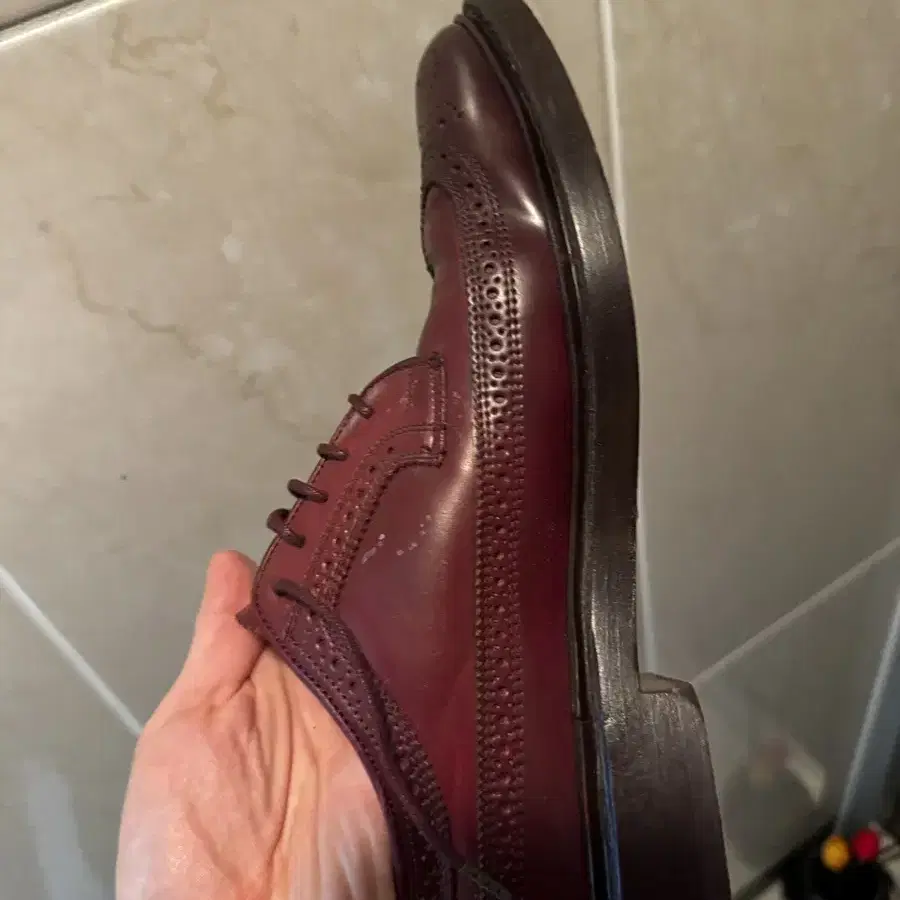 Genuine horween cordovan